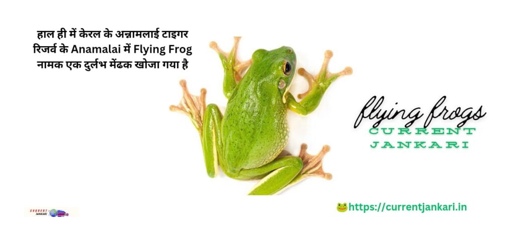 Anamalai Flying Frog